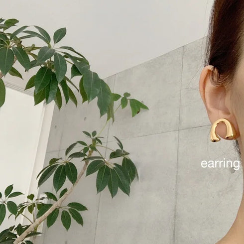bonheur pierce/earring