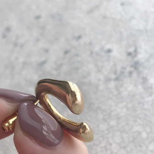 417. bonheur pierce/earring