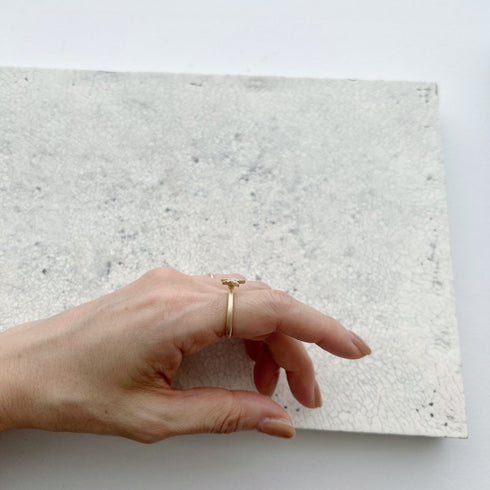 N°37 shooting star / 01 ring