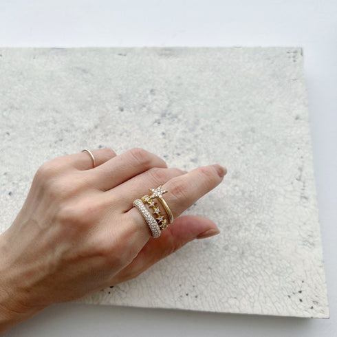 N°38 shooting star / 02 ring