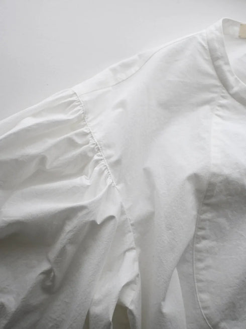 volume sleeve blouse