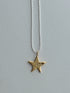 the star necklace