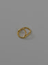 34. loop ring 2