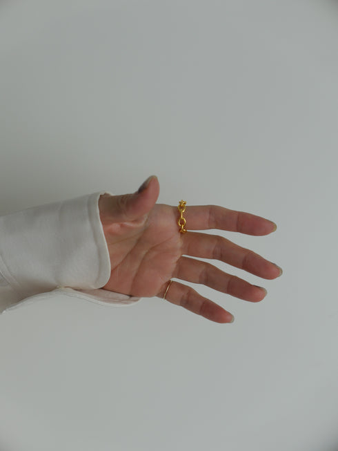 43. chain ring