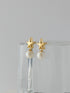 "NEW" star&pearl pierce / earring (先行予約販売)