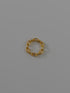 43. chain ring