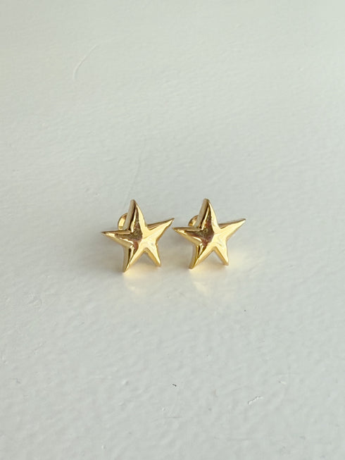 ✧ NEW ✧ star pierce/earring