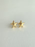✧ NEW ✧ star pierce/earring