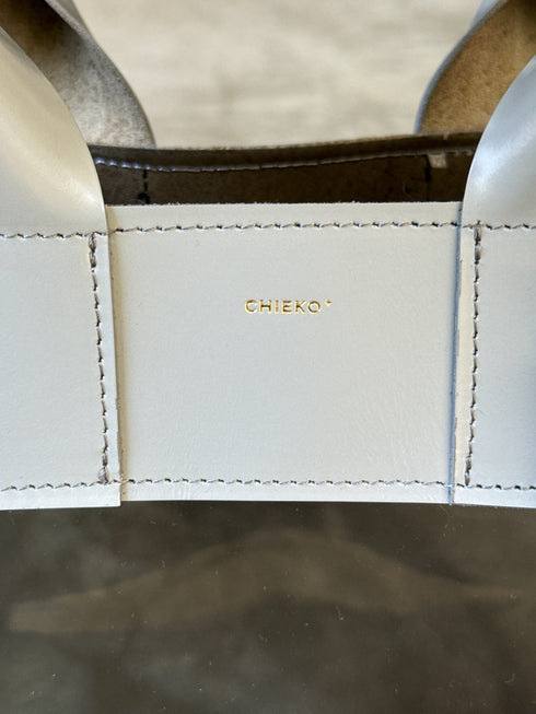 clear tote bag