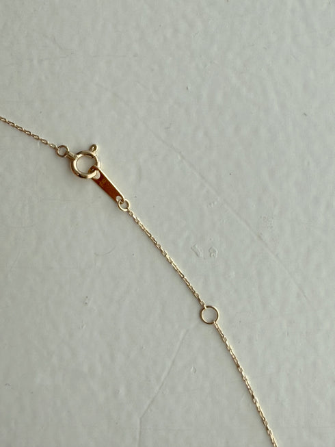 ✧ NEW ✧ K10 my bird(オーダー品)