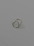 34. loop ring 2