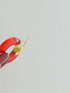 408. macaron pierce